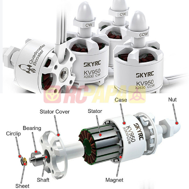 SkyRC X2830 KV950 Brushless Motor Set - RC Papa