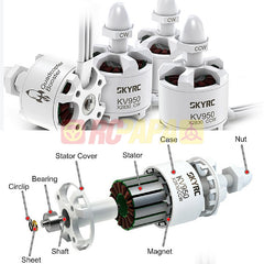 SkyRC X2830 KV950 Brushless Motor Set - RC Papa